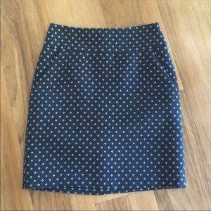 Ann Taylor Skirt